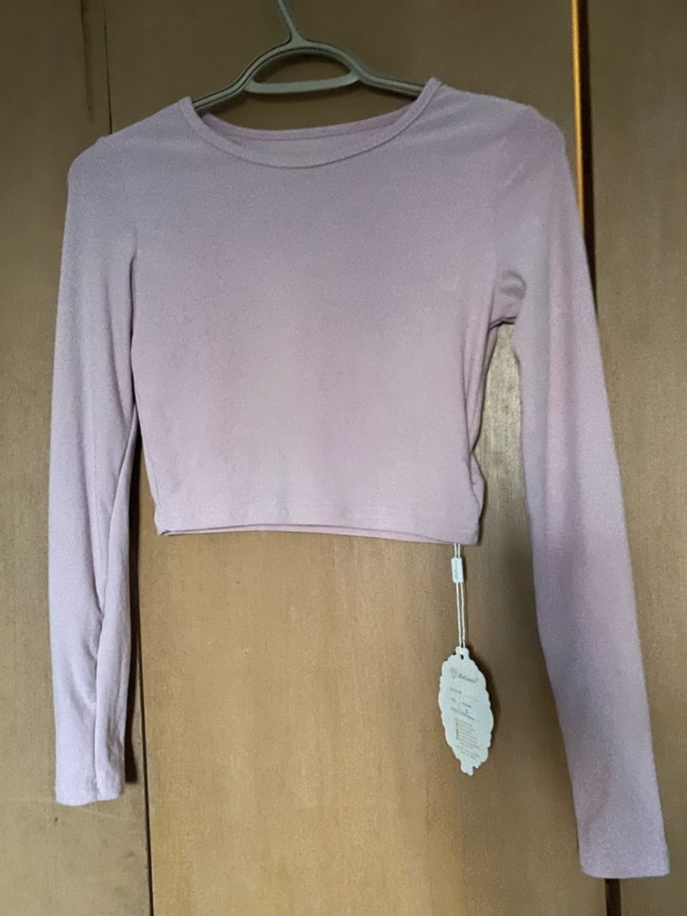 Long-Sleeve Cropped Top in Dusty Rose 2/$20